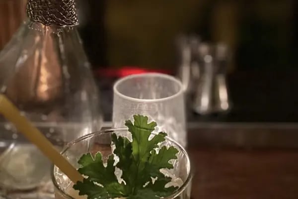 Katip Cocktail Bar - Resim 7