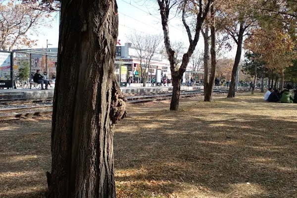 Selçuk Üniversitesi Alaeddin Keykubat Kampüsü - Resim 12