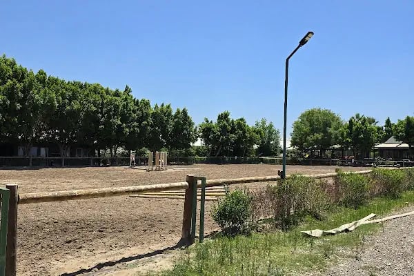 Antalya Binicilik ve Atlı Spor Kulübü - Resim 7