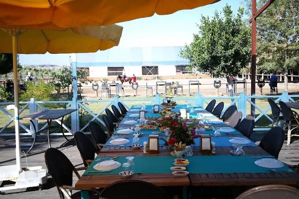 Antalya Binicilik ve Atlı Spor Kulübü - Resim 18