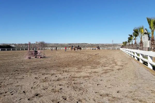 Antalya Binicilik ve Atlı Spor Kulübü - Resim 6