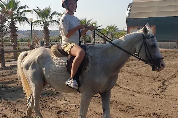 Antalya Binicilik ve Atlı Spor Kulübü - Resim 4