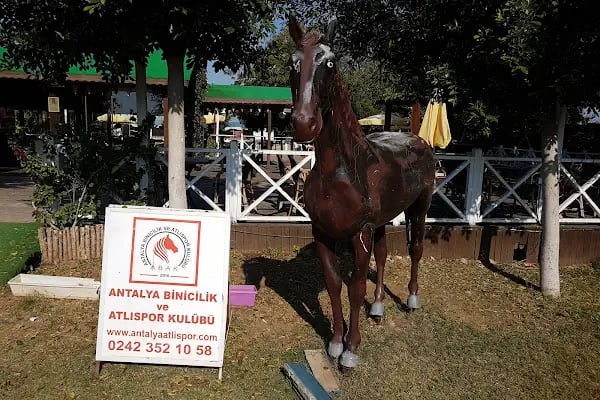 Antalya Binicilik ve Atlı Spor Kulübü - Resim 11