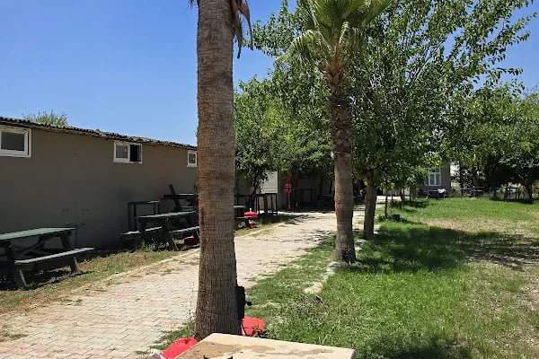 Antalya Binicilik ve Atlı Spor Kulübü - Resim 8