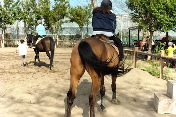 Antalya Binicilik ve Atlı Spor Kulübü - Resim 5