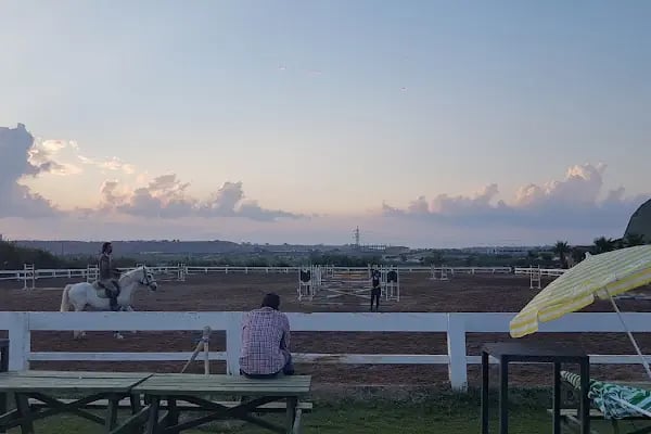 Antalya Binicilik ve Atlı Spor Kulübü - Resim 12