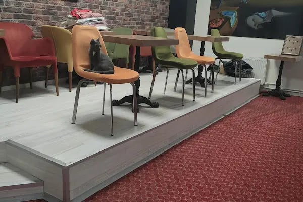 MASTER BİLARDO CAFE SALONU - Resim 8