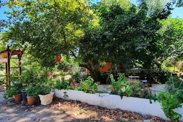 Limyra Cafe - Resim 5