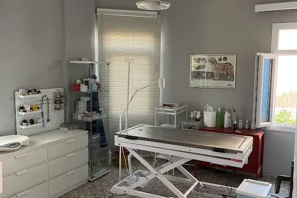 Güngören Veteriner Kliniği - Resim 3