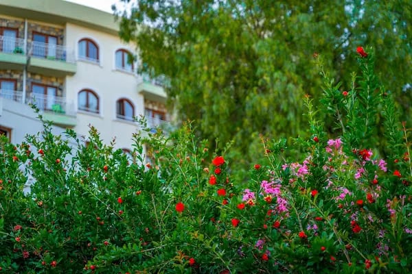 METT Hotel & Beach Resort Bodrum - Resim 18