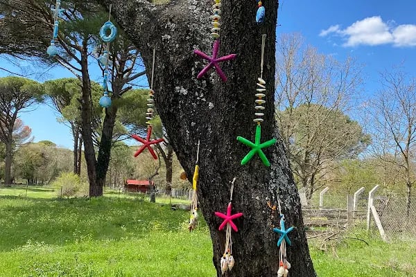Kozak Bungalov Evleri - Resim 20