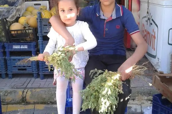 Elif Sarkuteri - Resim 5