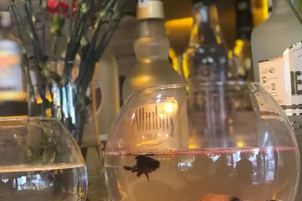 Adnan Bey Restaurant - Resim 19
