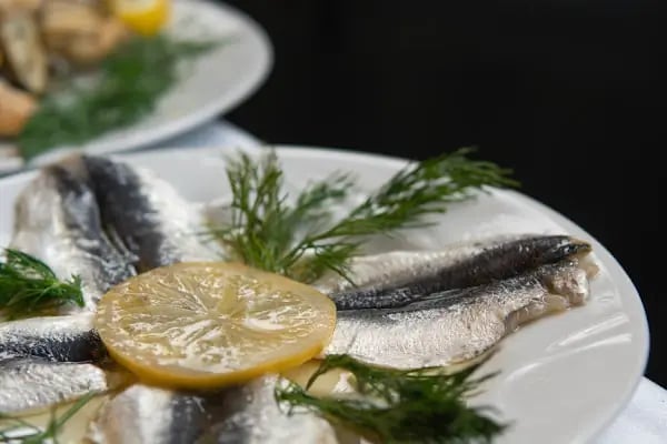 Adnan Bey Restaurant - Resim 12