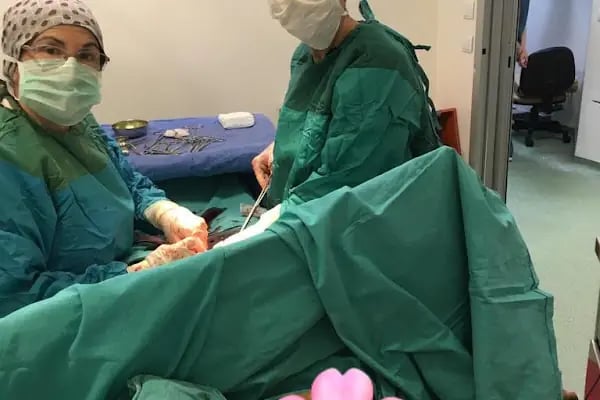 Op. Dr. Aysu Nida Dai - Resim 8