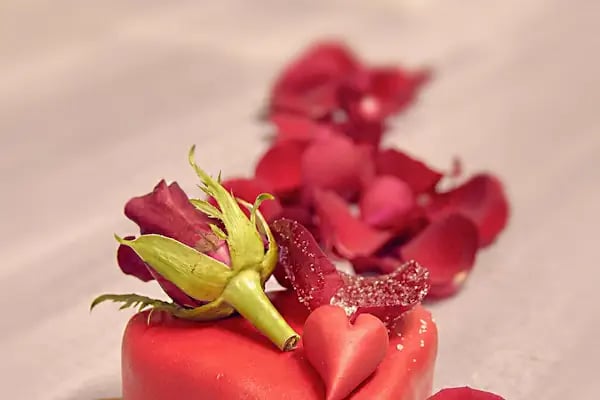 La Pierre Patisserie - Resim 18