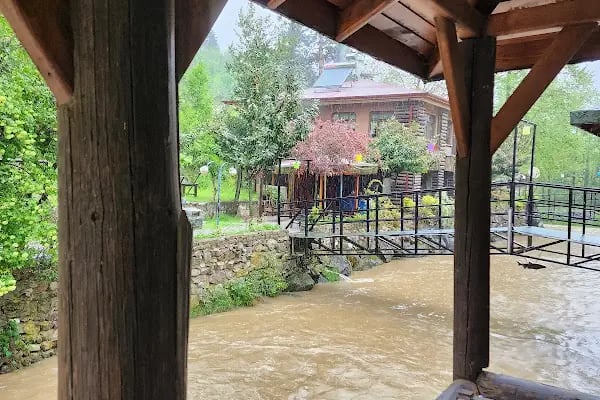 şelale alabalık - Resim 20