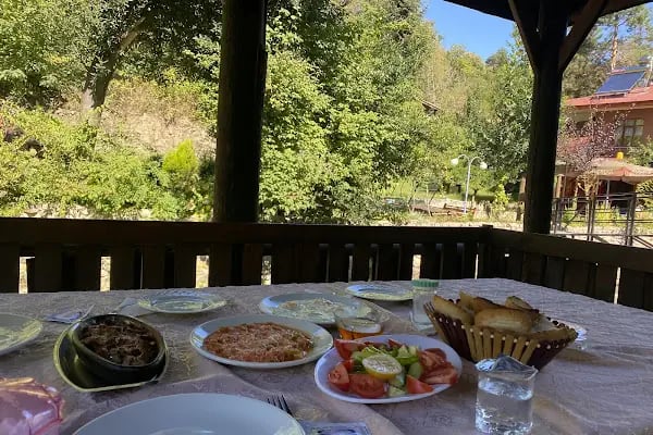 şelale alabalık - Resim 3