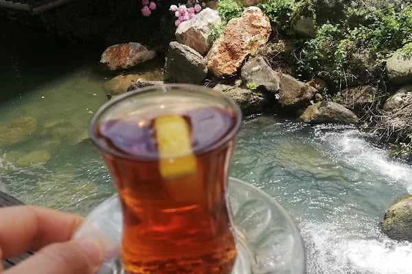 şelale alabalık - Resim 18