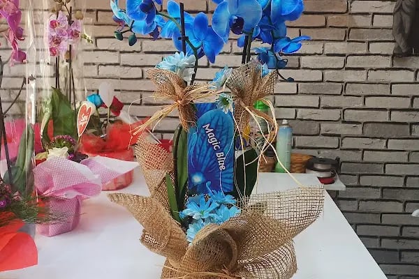 ANKARA KAHRAMAN KAZAN ÇİÇEKÇİLİK - Resim 3