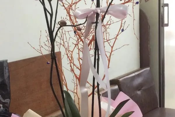 Bonsai Çiçekçilik - Resim 17