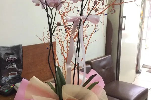 Bonsai Çiçekçilik - Resim 15
