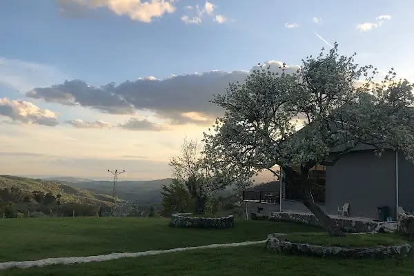 Yukarı Restaurant - Resim 9