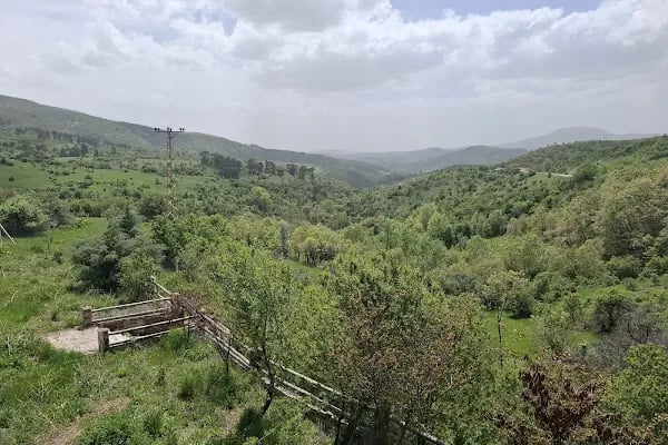 Yukarı Restaurant - Resim 20