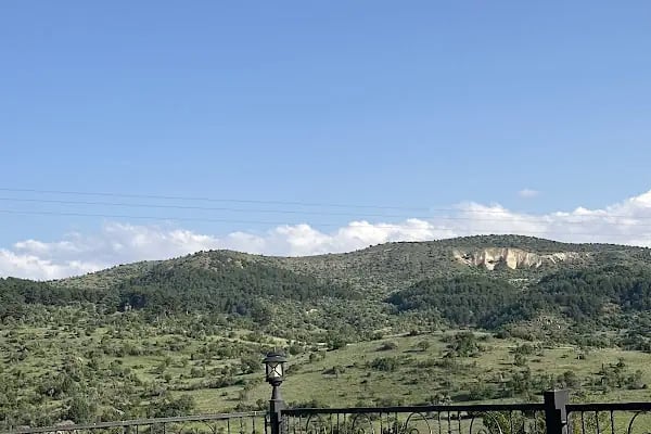 Yukarı Restaurant - Resim 19