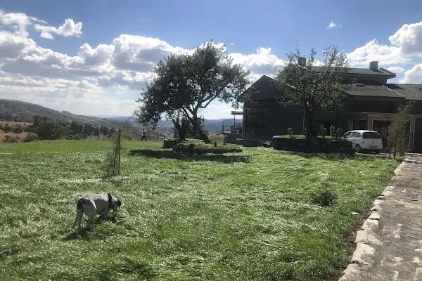 Yukarı Restaurant - Resim 12