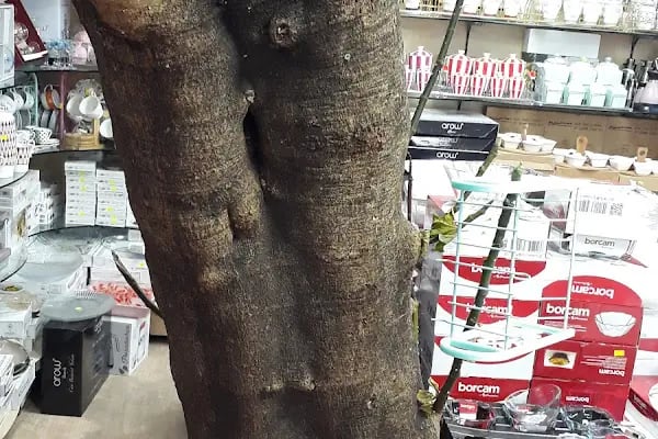 İkra Avm Ucuzluk Pazarı - Resim 6