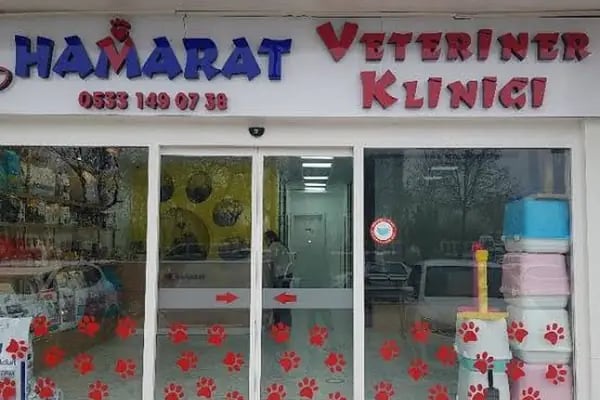 HAMARAT VETERİNER KLİNİĞİ - Resim 11