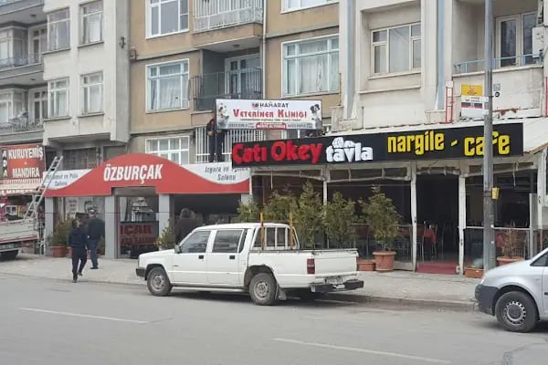 HAMARAT VETERİNER KLİNİĞİ - Resim 6