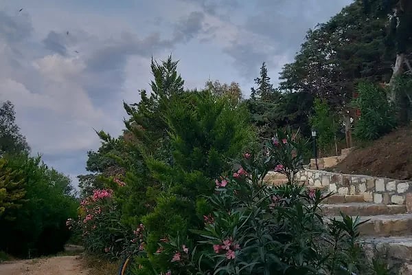 Sole Foça - Resim 14