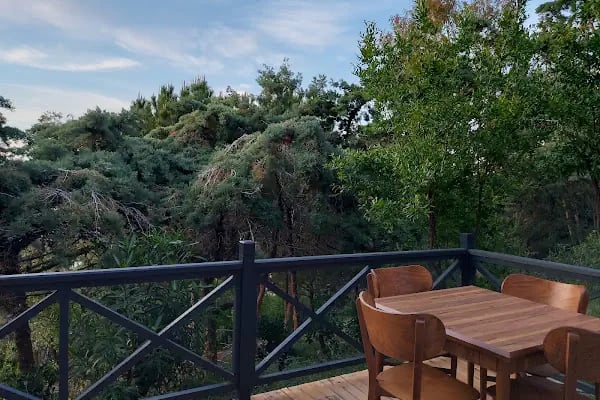 Sole Foça - Resim 19