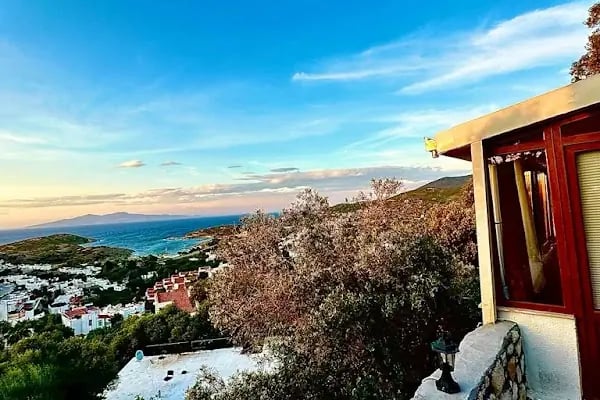 Sole Foça - Resim 4