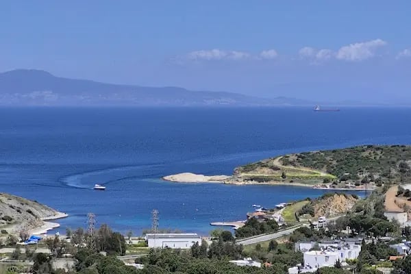Sole Foça - Resim 16