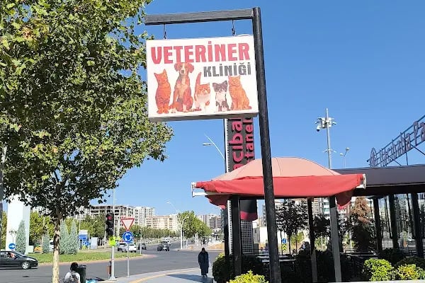 Pati Vet Veteriner Kliniği - Diyarbakır - Resim 5