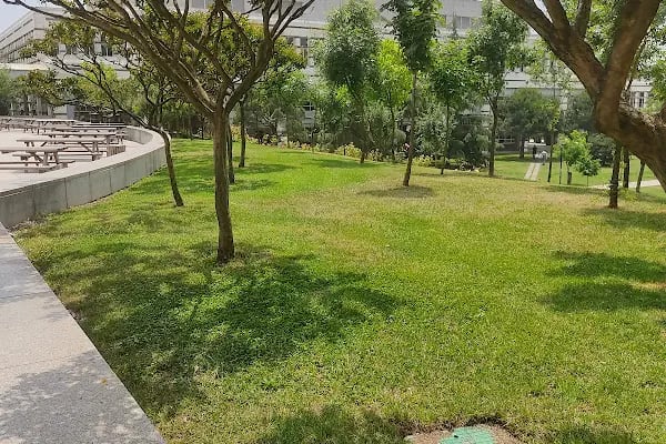 Sabancı Üniversitesi - Resim 17