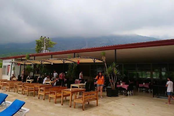 Castle Park Hotel - Resim 16