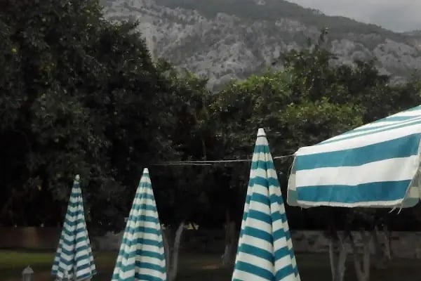 Castle Park Hotel - Resim 15