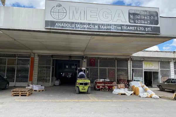 Mega Anadolu Taşımacılık Malatya - Resim 2