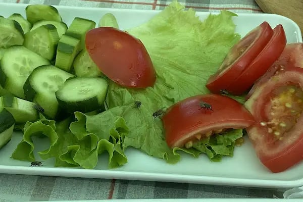 5 Eylül At Çiftliği Ve Kahvaltı Salonu - Resim 9