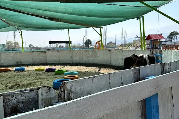 5 Eylül At Çiftliği Ve Kahvaltı Salonu - Resim 18