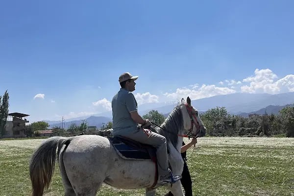 5 Eylül At Çiftliği Ve Kahvaltı Salonu - Resim 5