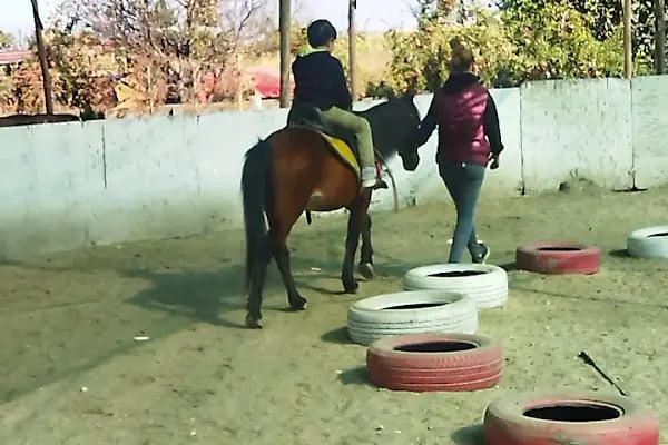 5 Eylül At Çiftliği Ve Kahvaltı Salonu - Resim 11