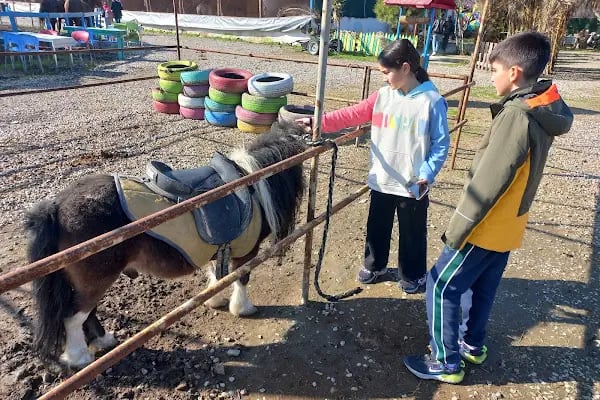 5 Eylül At Çiftliği Ve Kahvaltı Salonu - Resim 19