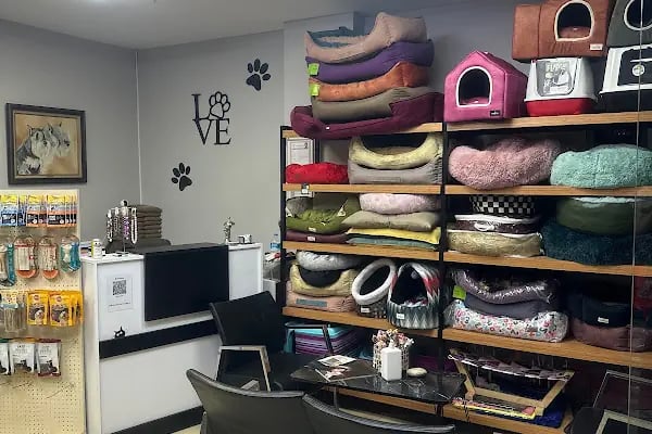 Ataşehir Let's Go! Petshop │ Royal Canin │ Pro Plan │ Kedi Kumu │ Açık Kedi Maması ◄ İnönü ◄ Kayışdağı ◄ Küçükbakkalköy - Resim 8