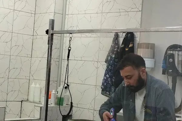 Ataşehir Let's Go! Petshop │ Royal Canin │ Pro Plan │ Kedi Kumu │ Açık Kedi Maması ◄ İnönü ◄ Kayışdağı ◄ Küçükbakkalköy - Resim 9
