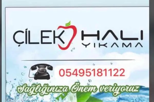 Çilek Halı Yıkama Nizip - Resim 2